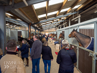 FB260322-116 - Fergal O'Brien Stable Visit